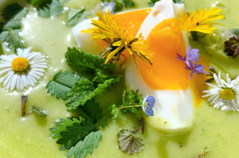 Erdäpfel-Kräuter-Suppe mit Ei